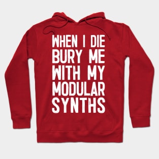 When I Die Bury Me With My Modular Synths Hoodie